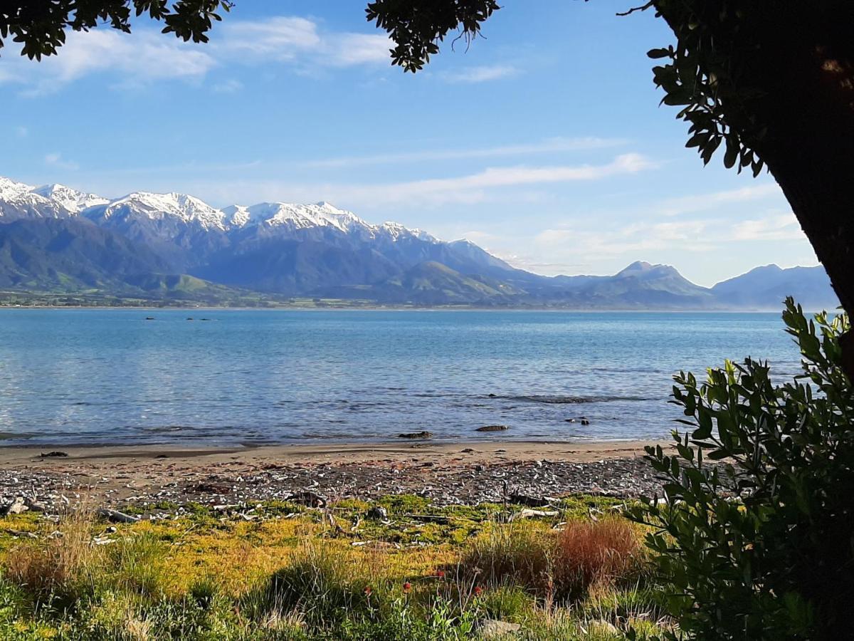 Panorama Motel Kaikoura Ngoại thất bức ảnh